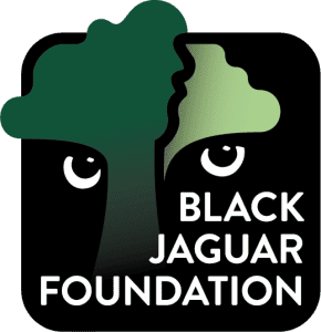 Logo Black Jaguar Foundation